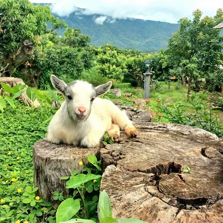 Kirin Farm Villa Chiang Mai Exterior photo