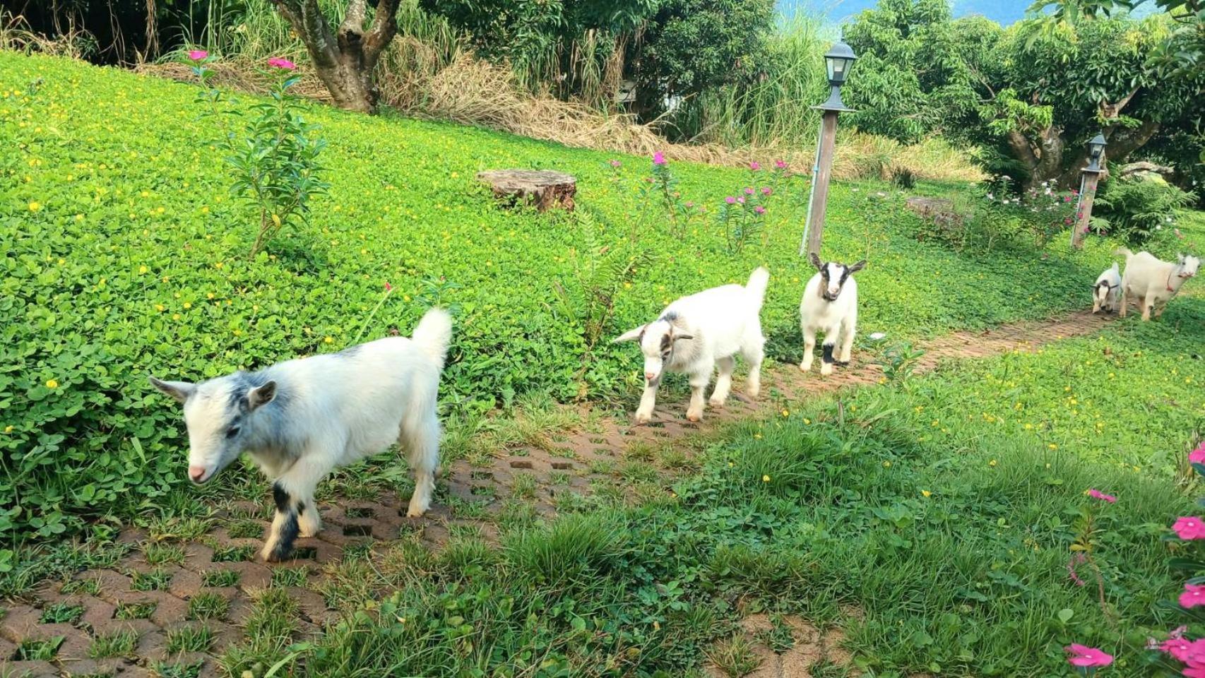 Kirin Farm เชียงใหม่