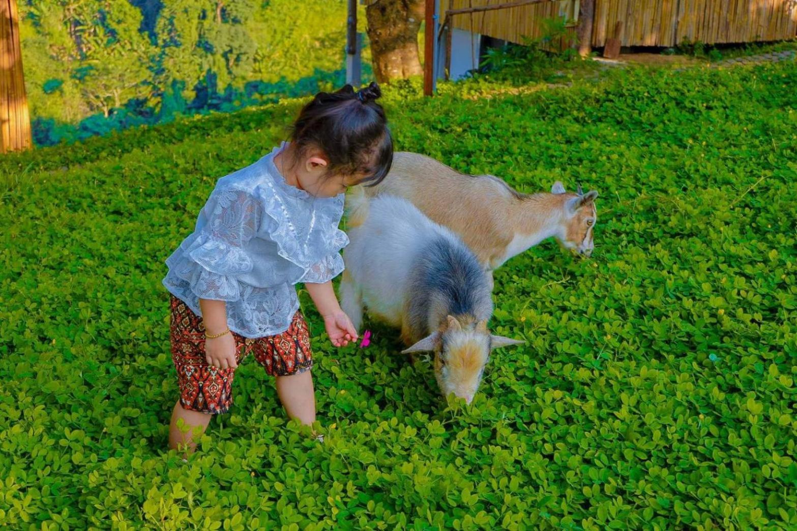 Kirin Farm โรงแรมพำนักรับรอง *