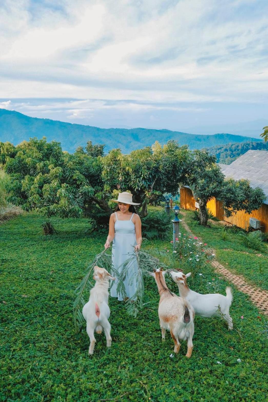 Kirin Farm โรงแรมพำนักรับรอง เชียงใหม่